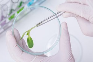 Natural science Natural science